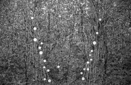  BrandenburgischerVerbandBildenderKuenstlerinnenundKuenstlereV