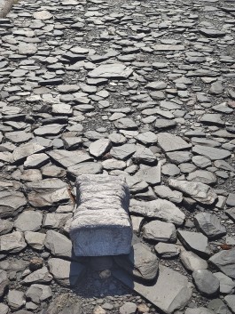  BrandenburgischerVerbandBildenderKuenstlerinnenundKuenstlereV