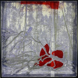  BrandenburgischerVerbandBildenderKuenstlerinnenundKuenstlereV