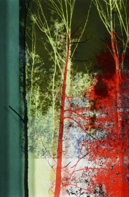  BrandenburgischerVerbandBildenderKuenstlerinnenundKuenstlereV