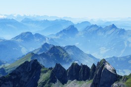  BrandenburgischerVerbandBildenderKuenstlerinnenundKuenstlereV