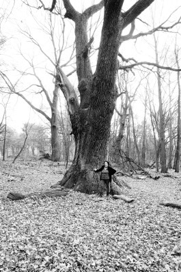  BrandenburgischerVerbandBildenderKuenstlerinnenundKuenstlereV