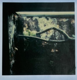  BrandenburgischerVerbandBildenderKuenstlerinnenundKuenstlereV