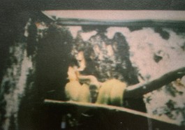  BrandenburgischerVerbandBildenderKuenstlerinnenundKuenstlereV