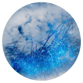  BrandenburgischerVerbandBildenderKuenstlerinnenundKuenstlereV