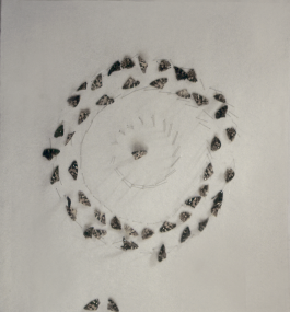  BrandenburgischerVerbandBildenderKuenstlerinnenundKuenstlereV