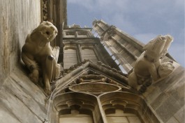BrandenburgischerVerbandBildenderKuenstlerinnenundKuenstlereV