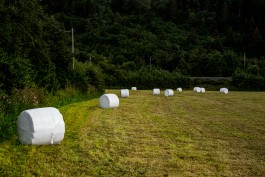  BrandenburgischerVerbandBildenderKuenstlerinnenundKuenstlereV